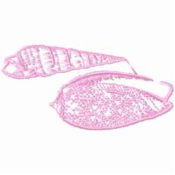 Seashell Embroidery Design 10